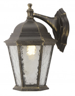 Настенный уличный светильник Arte Lamp Genova A1202AL-1BN