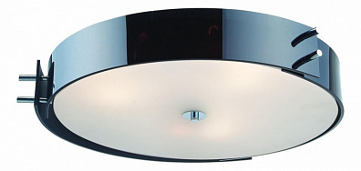 Настенно-потолочный светильник ST Luce Heggia SL484.402.04