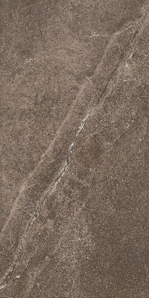 Плитка Paradyz Palazzo Brown 30x60 настенная