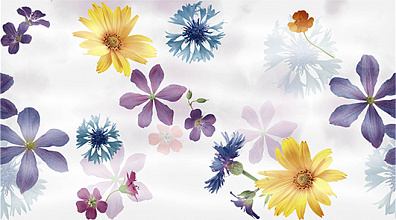 Декор Ceradim Glen Panno B 25x45
