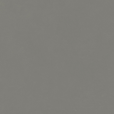 Керамогранит Italon Forum Slim Iron 80x80 610010004139