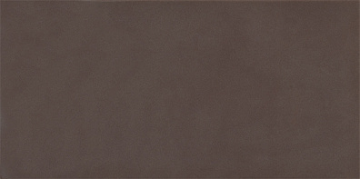 Плитка Panaria Experience Visone Lucido 30x60 настенная