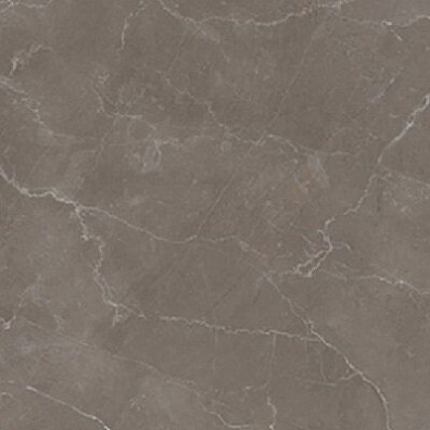 Керамогранит Casalgrande Padana Marmosmart Tortora Smart Lucido 59x59 12950211