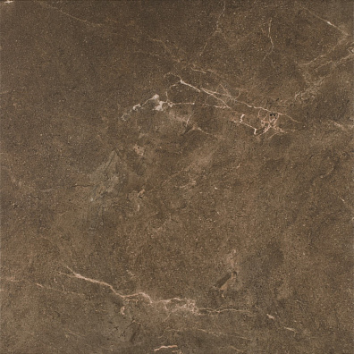 Керамогранит Paradyz Ibis Brown Gres Szkl Mat 60x60