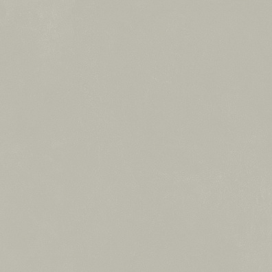 Керамогранит Italon Forum Slim Silver 80x80 610010004138
