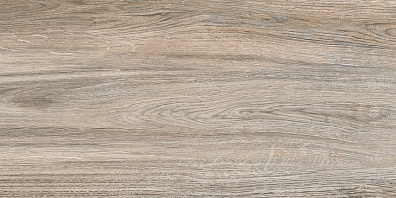 Плитка Alma Ceramica Dublin 24.9x50 настенная TWU09DBL404