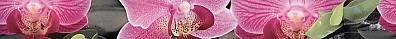 Бордюр Cerrol Porto Bambu and Orchid listwa 6x60