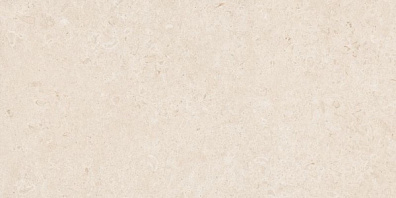 Керамогранит Ragno Eterna Blanco Rett. 60x120 R8JK