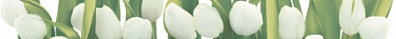 Бордюр Polcolorit Arco Digital Tulipany 6x60