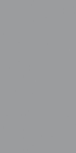 Керамогранит Ceracasa Croma Grey 49.1x98.2