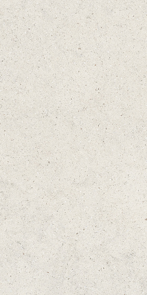Керамогранит Italon Forum Stone Polar 60x120 610010004166