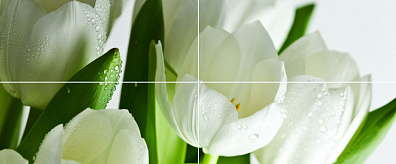 Декор Polcolorit Arco Verde Tulipan 4 25x60 (комплект)