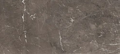 Керамогранит Rex Ceramiche Magnum Brown Glossy 6mm 120x280 774698