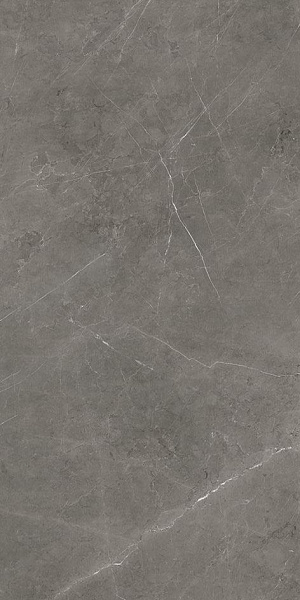 Керамогранит Azulejos Benadresa Tessino Grey Pulido 60x120