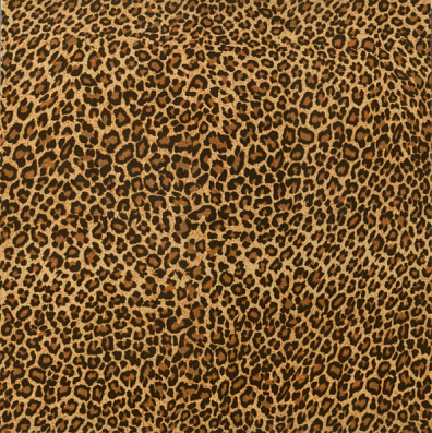 Напольная плитка Aparici Collage Leopard Pulido 44.6x44.63
