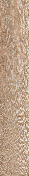 Керамогранит La Faenza Legno 2012BS RM 20x120