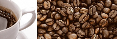 Декор Aparici Solid-Zero Cafe Decor A 25.1x75.6 8430828210503