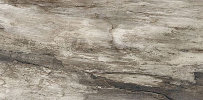 Керамогранит 944D8R Petrified Tree Grey Bark Rett 45x90 Emil Ceramica