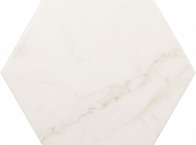 Керамогранит 23101 Carrara Hexagon Matt 17.5х20 Equipe