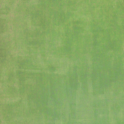 Напольная плитка Petracer`s Primavera Romana Verde 32,5x32,5