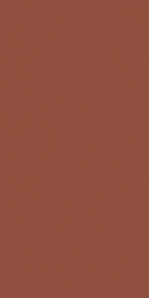 Керамогранит Ceracasa Croma Terracotta 49.1x98.2