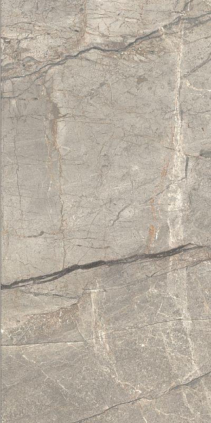 Керамогранит Caesar Anima Futura Amazing Silver Matt 60x120 AGB2