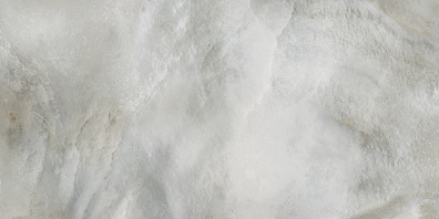 Керамогранит 531430 Bright Pearl Silver Rett 40x80 Roberto Cavalli