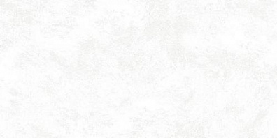 Керамогранит Emigres Pav. Riga White 30x60