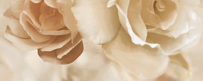 Декор Ceradim Rosario Dec Panno B 20x50