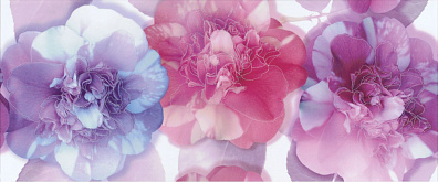 Декор Polcolorit Arco Digital Peonia 25x60