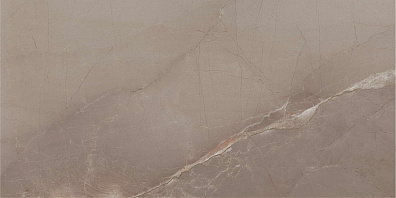 Керамогранит 11-015-4 Passion Lux 90 Taupe 45x90 Azteca