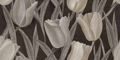 Керамогранит 6000677 Decorandum Flos 50x100 Vallelunga