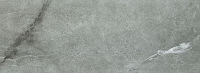 Настенная плитка Organic Matt grey 32.8x89.8 Tubadzin