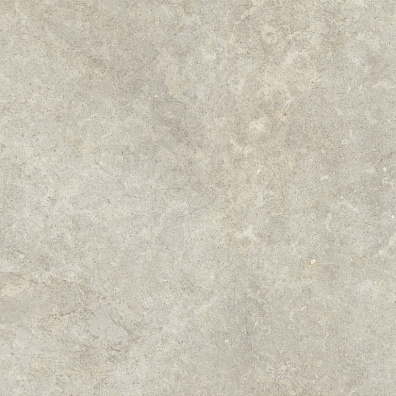 Керамогранит Ragno Richmond Taupe Rett 100x100 RALK