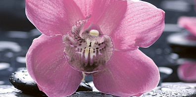 Декор Нефрит Болеро Орхидея (часть 1) 25x50