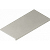 Ступень Italon Continuum Silver Scalino Frontale 33x60 фронтальная 620070002311