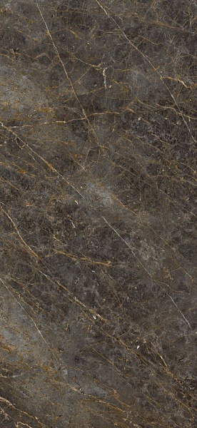 Керамогранит La Faenza Aesthetica Marrone Grigio 120x278 AE GOL6 278 LPM