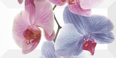 Декор Monopole Bisel 10x20 Orchidea 2 10x20