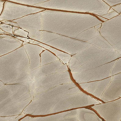 Керамогранит Casa Dolce Casa Nature Mood Rainforest Comfort 6mm R 120x120 774875