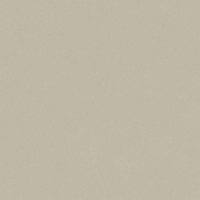 Керамогранит Italon Forum Slim Desert 80x80 610010004140