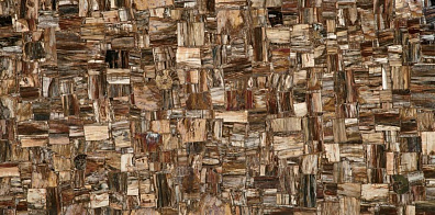 Керамогранит Marmocer Semiprecious Petrified Wood 100x100 MC-SP10