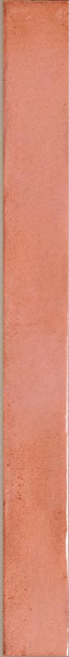 Керамогранит Sadon Colors Salmon 4.8x45 J92080