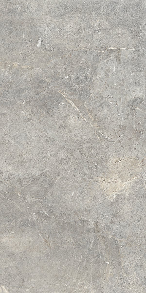 Керамогранит Cercom Everstone Evergreige Ret T 60x120 1089326