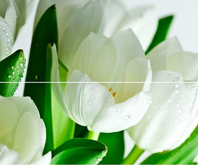 Панно Polcolorit Arco Digital Tulipany 50x60 (комплект)