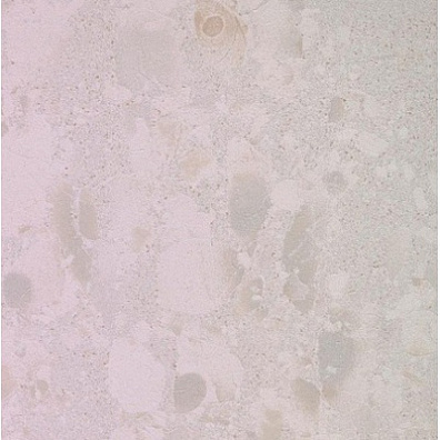 Керамогранит Leonardo Attitude 60x60 ATTD 60W RM
