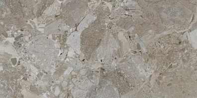 Керамогранит Cristacer Ceppo De Seville Taupe Pulido 60x120