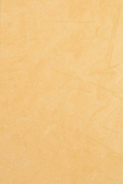 Настенная плитка Lb-Ceramics Ориго 1031-6034 20x30