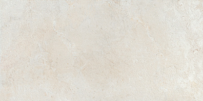 Керамогранит Colorker Elements Bone 59.5x119.2 233920