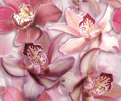 Панно Cerrol Porto Flowers Orchide Lila 50x60 (комплект)