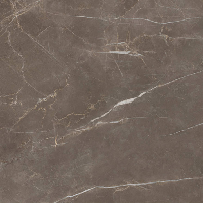 Керамогранит Cifre Ceramica Pav. Venetian Nature Po Rect Brillo 60x60